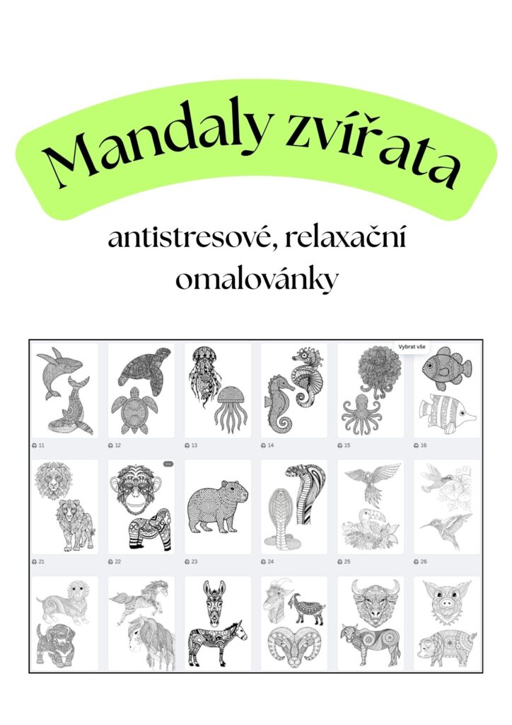 zvířecí mandaly omalovánky