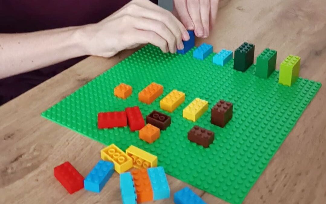 autista a lego